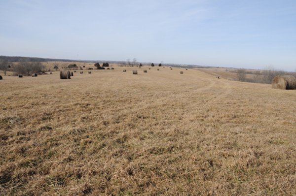 745 Acres Offered in 16 Tracts
