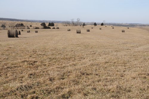 Property photo 142 - 745 Acres Offered in 16 Tracts