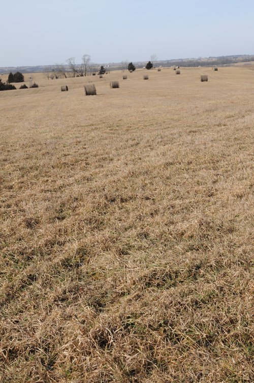 Property photo 200 - 745 Acres Offered in 16 Tracts