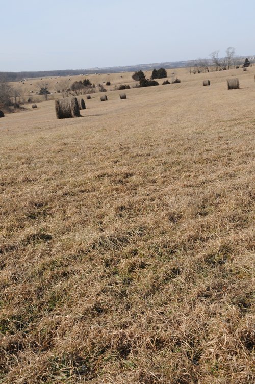 Property photo 180 - 745 Acres Offered in 16 Tracts