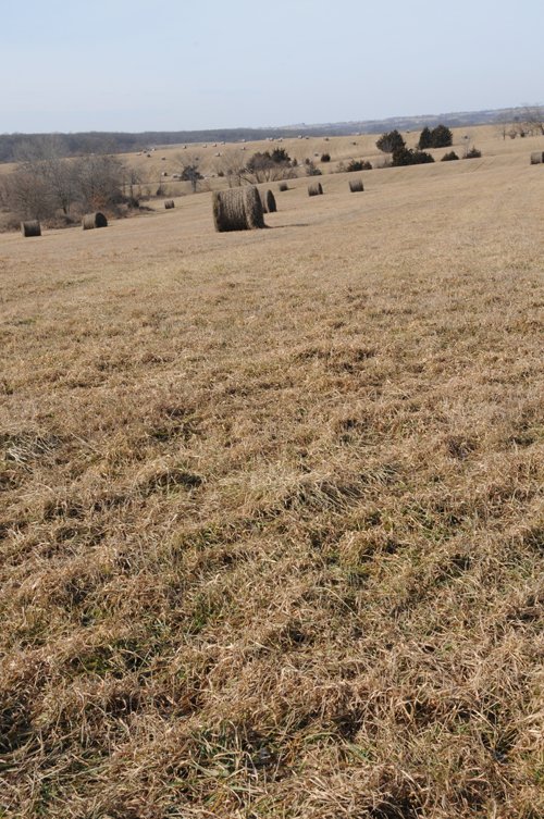 Property photo 38 - 745 Acres Offered in 16 Tracts