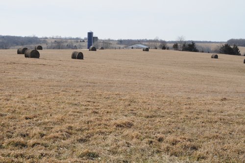 Property photo 148 - 745 Acres Offered in 16 Tracts