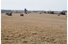 Property photo 148 - 745 Acres Offered in 16 Tracts