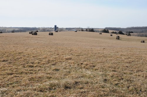 Property photo 69 - 745 Acres Offered in 16 Tracts