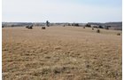 Property photo 69 - 745 Acres Offered in 16 Tracts