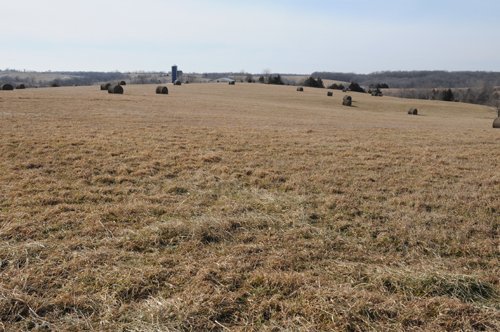 Property photo 34 - 745 Acres Offered in 16 Tracts