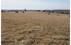 Property photo 34 - 745 Acres Offered in 16 Tracts