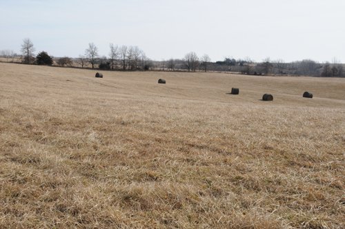 Property photo 61 - 745 Acres Offered in 16 Tracts