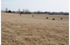 Property photo 61 - 745 Acres Offered in 16 Tracts