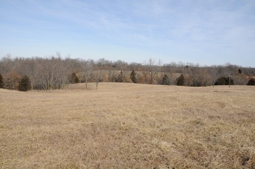 Property photo 37 - 745 Acres Offered in 16 Tracts
