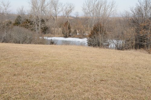 Property photo 44 - 745 Acres Offered in 16 Tracts