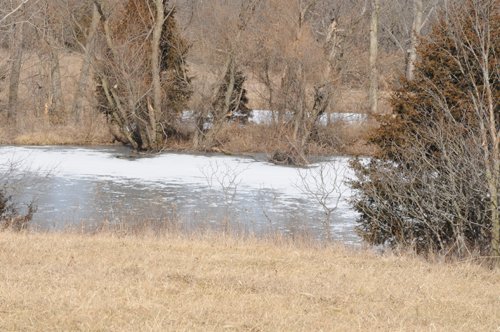 Property photo 3 - 745 Acres Offered in 16 Tracts