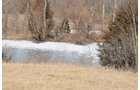 Property photo 3 - 745 Acres Offered in 16 Tracts