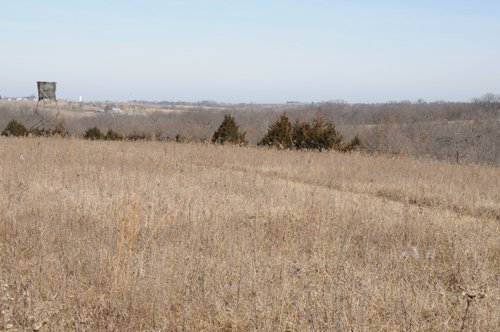 Property photo 29 - 745 Acres Offered in 16 Tracts