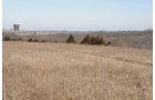 Property photo 29 - 745 Acres Offered in 16 Tracts
