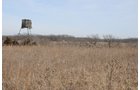 Property photo 138 - 745 Acres Offered in 16 Tracts