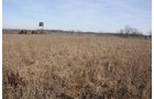 Property photo 202 - 745 Acres Offered in 16 Tracts