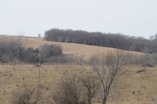 Property photo 16 - 745 Acres Offered in 16 Tracts