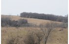 Property photo 16 - 745 Acres Offered in 16 Tracts