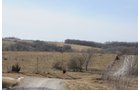 Property photo 30 - 745 Acres Offered in 16 Tracts