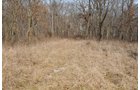 Property photo 188 - 745 Acres Offered in 16 Tracts