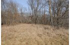 Property photo 161 - 745 Acres Offered in 16 Tracts