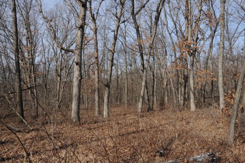 Property photo 146 - 745 Acres Offered in 16 Tracts