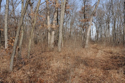 Property photo 80 - 745 Acres Offered in 16 Tracts