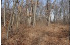 Property photo 80 - 745 Acres Offered in 16 Tracts