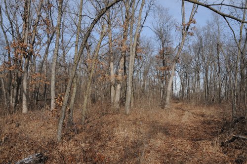 Property photo 175 - 745 Acres Offered in 16 Tracts