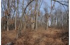 Property photo 175 - 745 Acres Offered in 16 Tracts