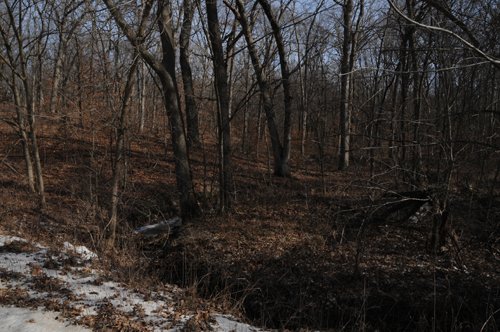 Property photo 64 - 745 Acres Offered in 16 Tracts