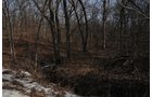 Property photo 64 - 745 Acres Offered in 16 Tracts