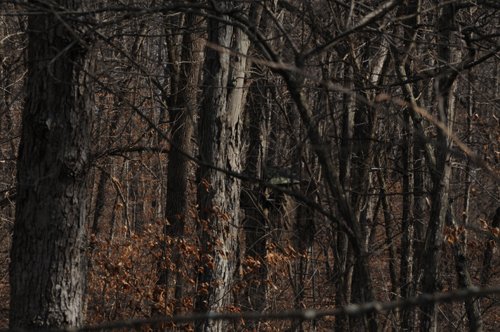 Property photo 187 - 745 Acres Offered in 16 Tracts