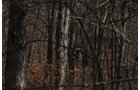 Property photo 187 - 745 Acres Offered in 16 Tracts