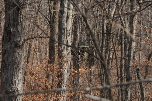 Property photo 54 - 745 Acres Offered in 16 Tracts