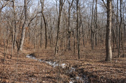 Property photo 18 - 745 Acres Offered in 16 Tracts