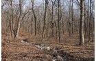 Property photo 18 - 745 Acres Offered in 16 Tracts