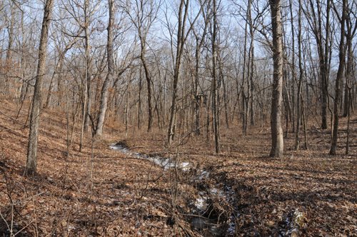 Property photo 90 - 745 Acres Offered in 16 Tracts