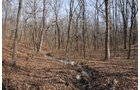 Property photo 90 - 745 Acres Offered in 16 Tracts