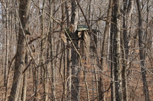 Property photo 39 - 745 Acres Offered in 16 Tracts