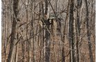 Property photo 39 - 745 Acres Offered in 16 Tracts