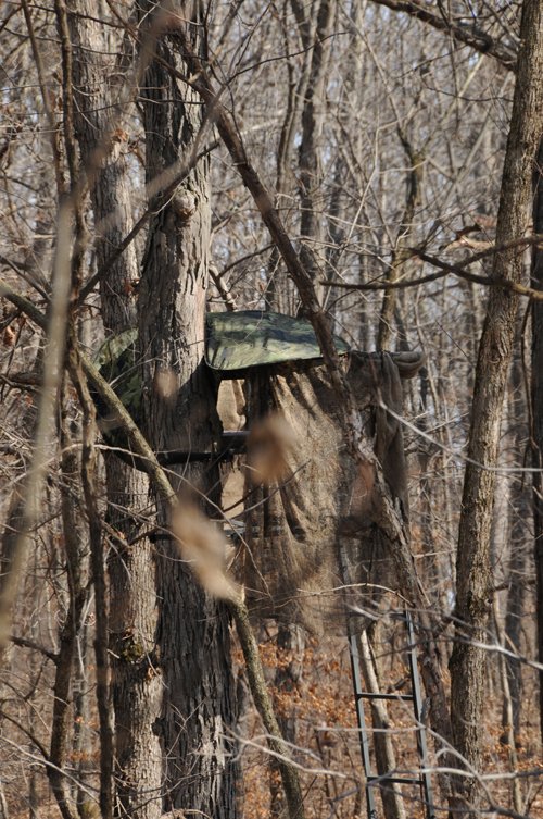 Property photo 40 - 745 Acres Offered in 16 Tracts