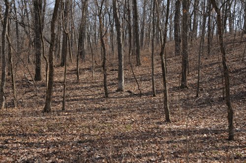 Property photo 124 - 745 Acres Offered in 16 Tracts