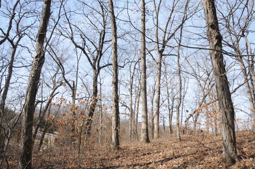 Property photo 140 - 745 Acres Offered in 16 Tracts