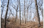Property photo 140 - 745 Acres Offered in 16 Tracts