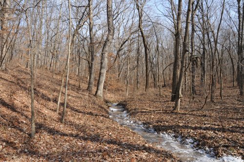 Property photo 162 - 745 Acres Offered in 16 Tracts