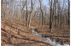 Property photo 162 - 745 Acres Offered in 16 Tracts