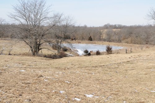 Property photo 31 - 745 Acres Offered in 16 Tracts