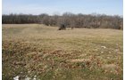 Property photo 185 - 745 Acres Offered in 16 Tracts